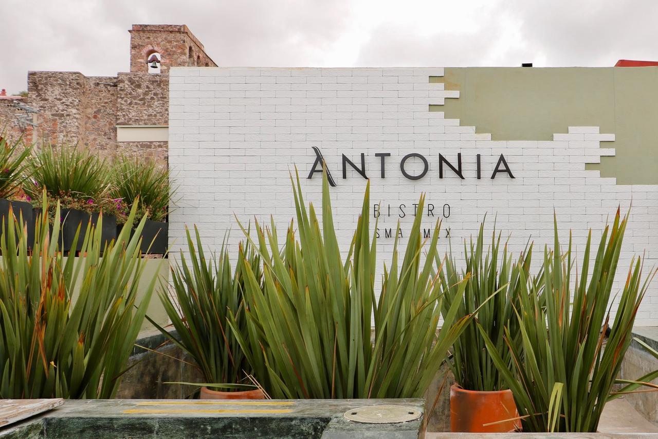 Hotel Boutique El Palomar San Miguel de Allende Exterior foto